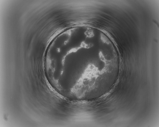 X0000100330957200806261258