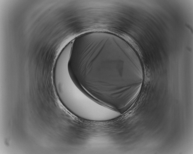 X0000100330958200806261259