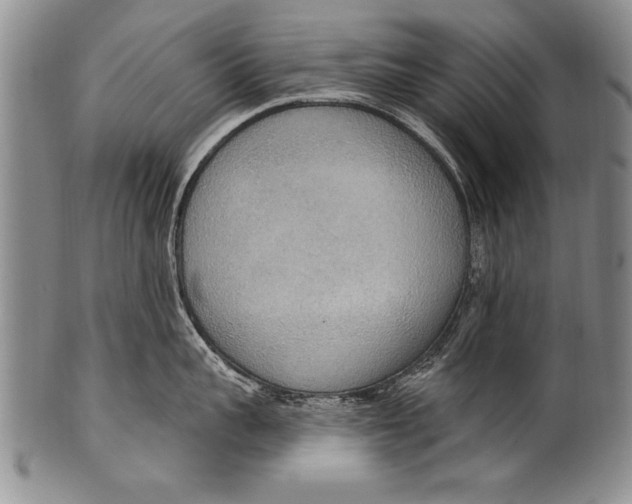 X0000100330959200806261259