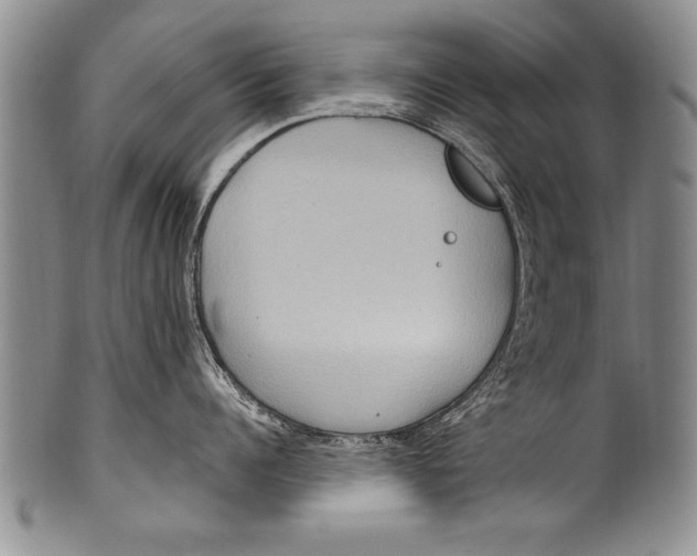 X0000100330960200806261259