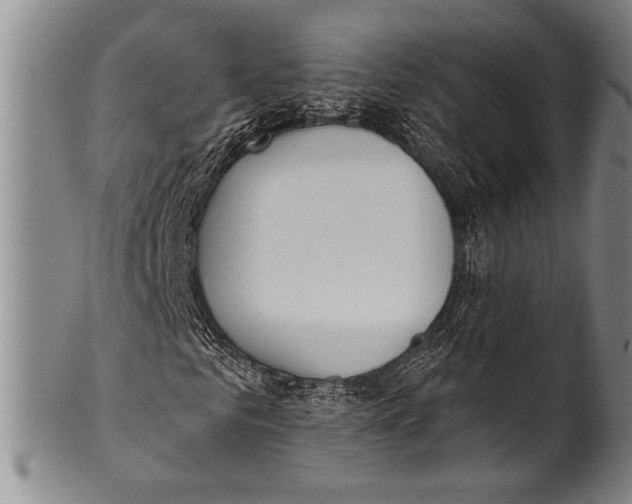 X0000100330961200806261258