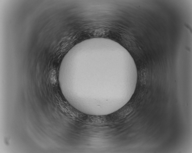 X0000100330962200806261258