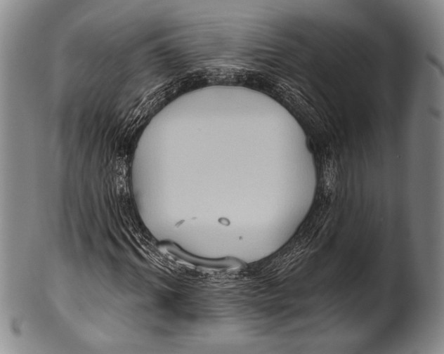 X0000100330964200806261257