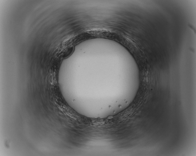 X0000100330965200806261257