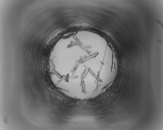 X0000100330967200806261257