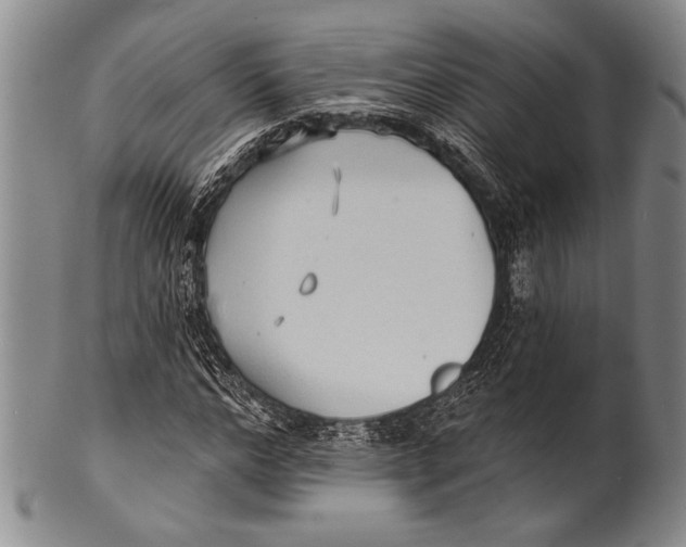 X0000100330968200806261257