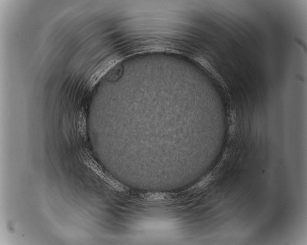 X0000100330969200806261257