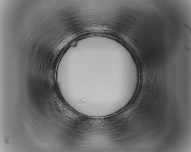 X0000100330970200806261257