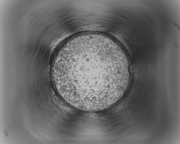 X0000100330971200806261257