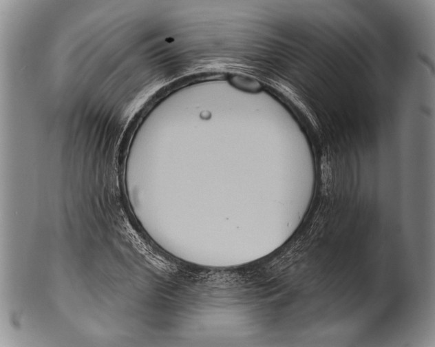 X0000100330972200806261257