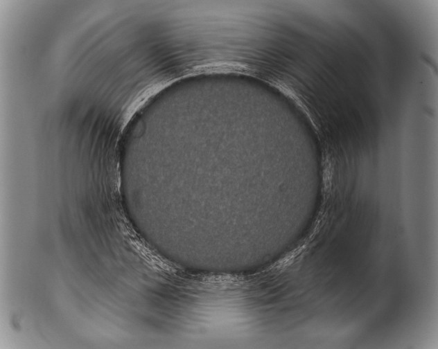 X0000100330973200806261257