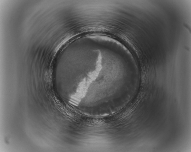 X0000100330975200806261257