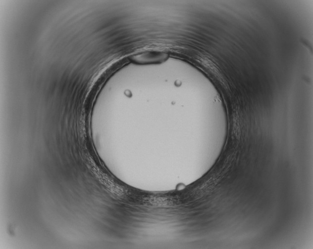 X0000100330976200806261257