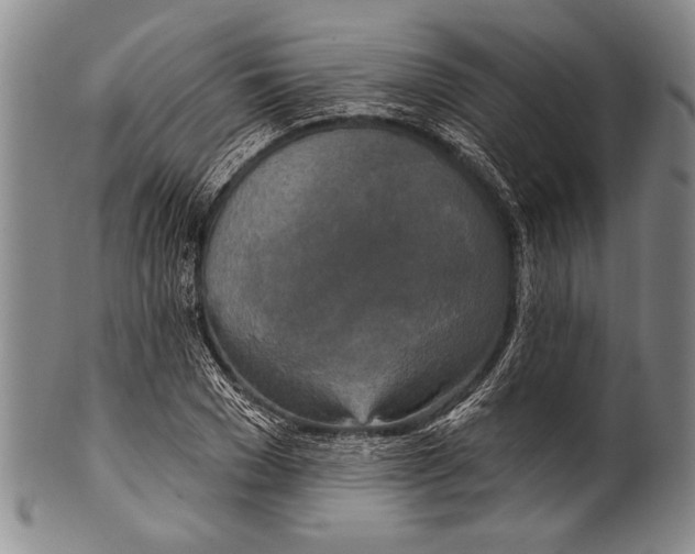 X0000100330977200806261257