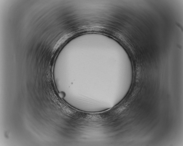 X0000100330978200806261257