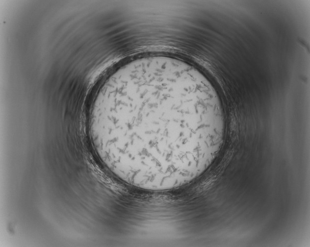 X0000100330979200806261257