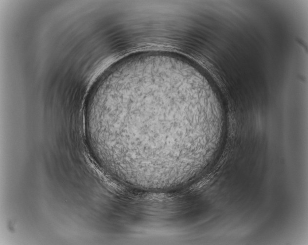 X0000100330982200806261257