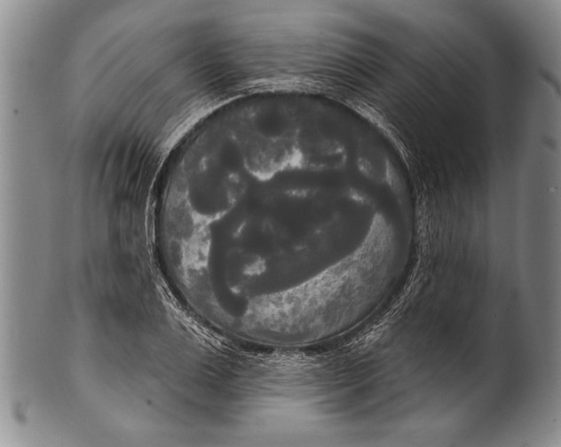 X0000100330983200806261257