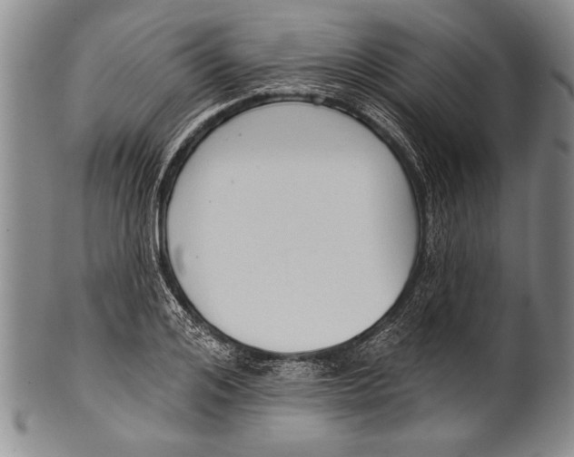 X0000100330984200806261257