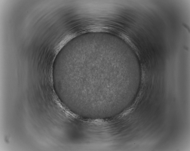 X0000100330986200806261257