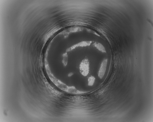 X0000100330987200806261257