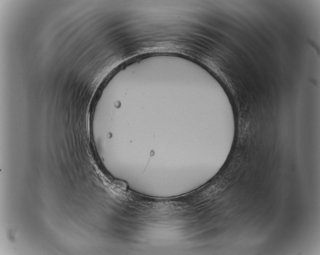 X0000100330988200806261257