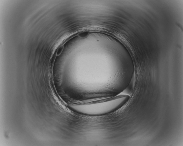 X0000100330989200806261257