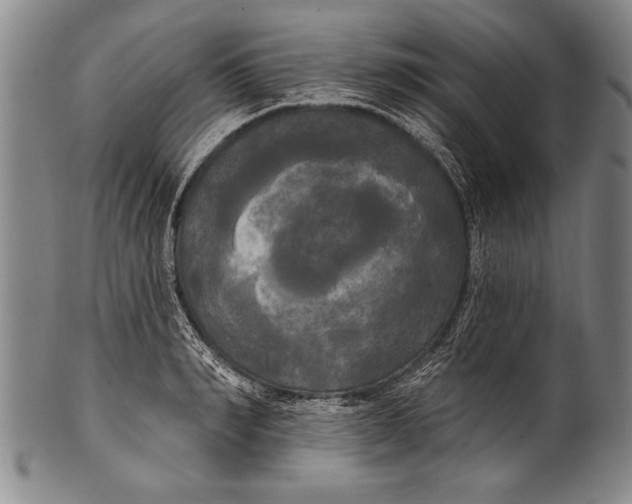 X0000100330990200806261257