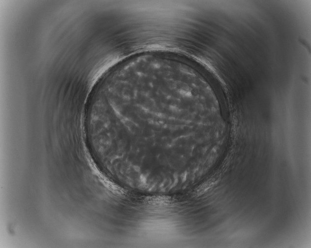 X0000100330991200806261257