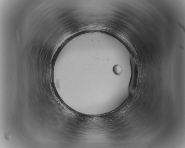 X0000100330992200806261257