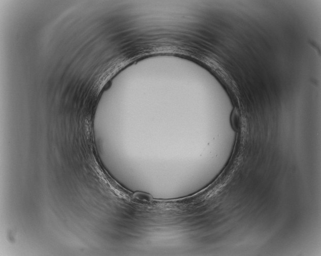 X0000100330993200806261257