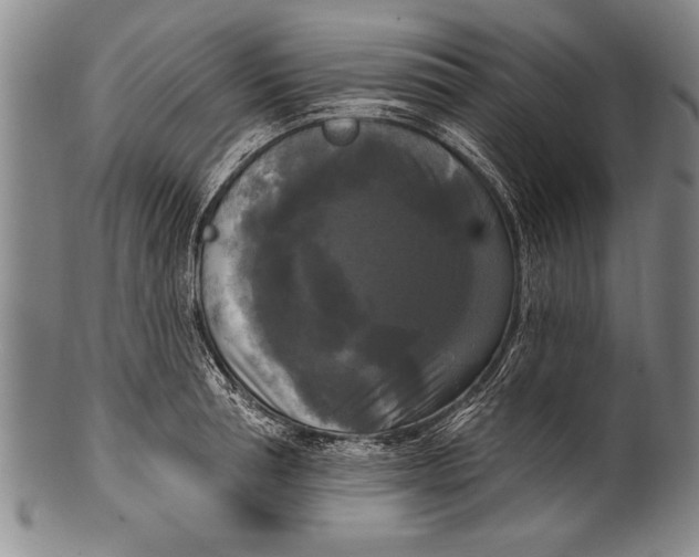 X0000100330994200806261257