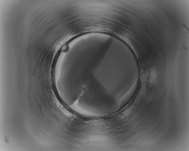 X0000100330995200806261257