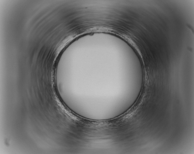 X0000100330997200806261257