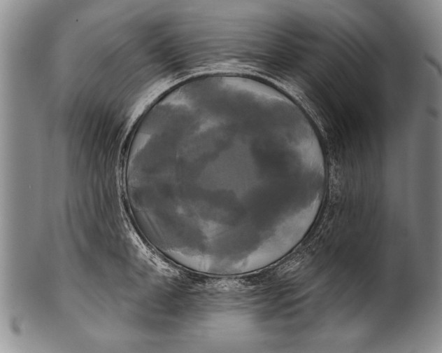 X0000100330998200806261257