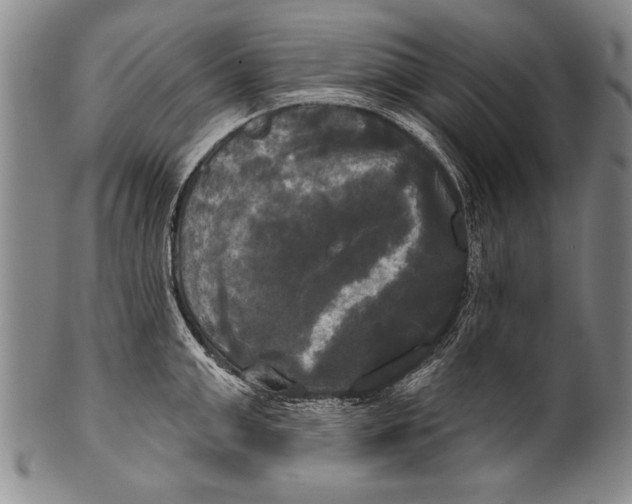 X0000100330999200806261257