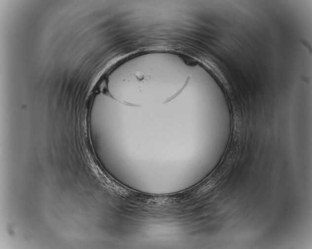 X0000100331000200806261257