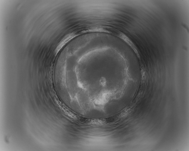 X0000100331002200806261257