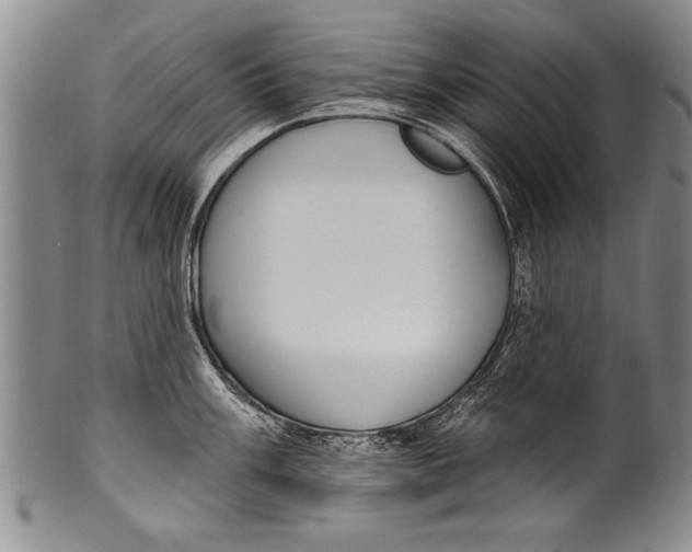 X0000100331003200806261257