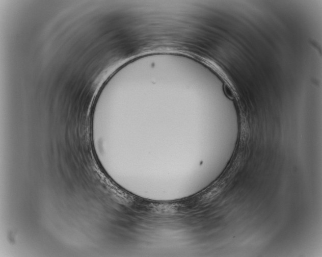 X0000100331004200806261257