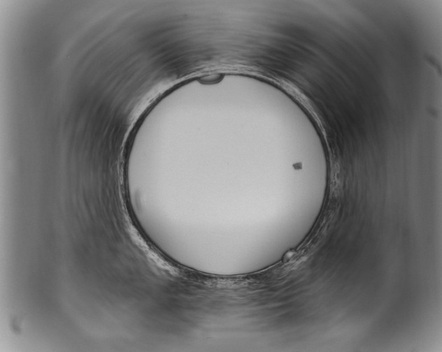 X0000100331005200806261257