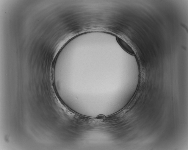 X0000100331006200806261257