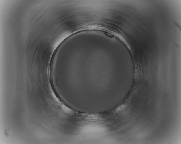 X0000100331007200806261257