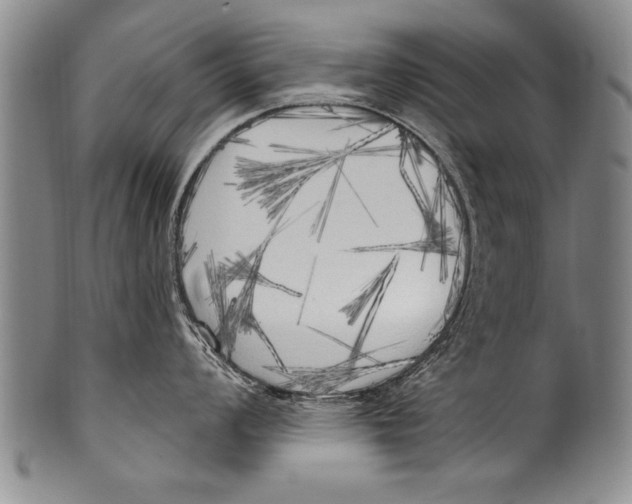 X0000100331008200806261257