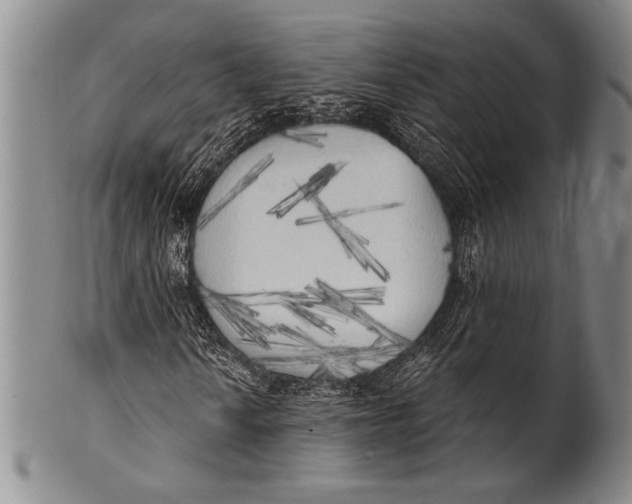 X0000100331010200806261256