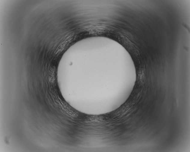 X0000100331012200806261256