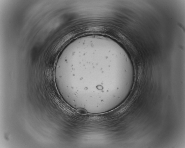 X0000100331017200806261256