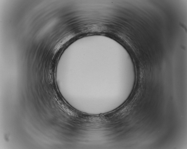 X0000100331018200806261256