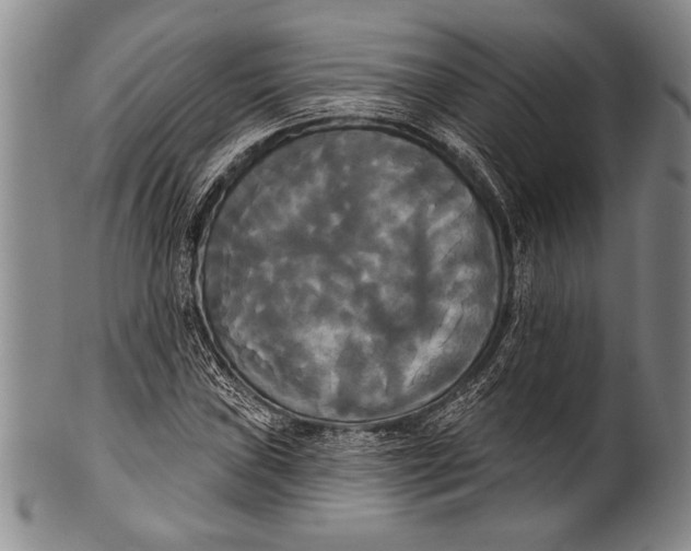 X0000100331019200806261256