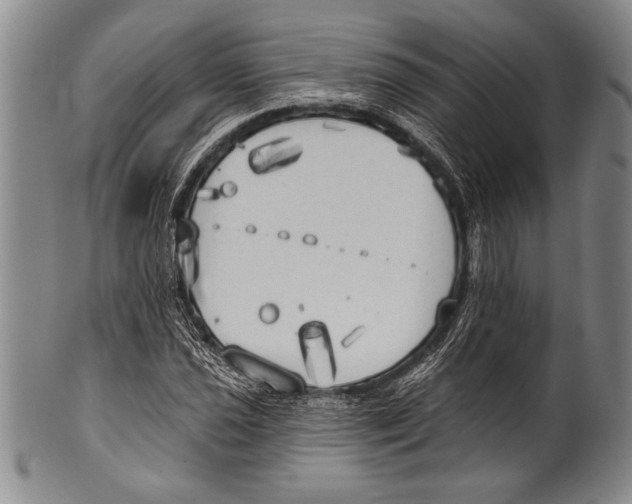 X0000100331021200806261256